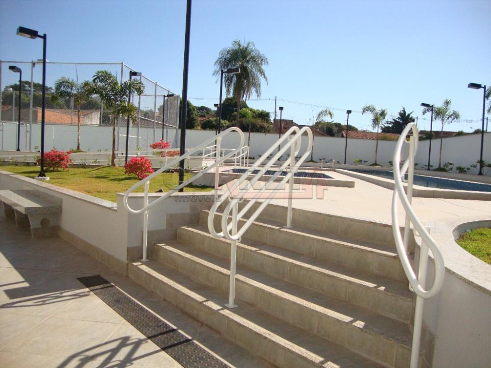 Alugar Apartamento / Padrão em Araçatuba R$ 2.700,00 - Foto 18