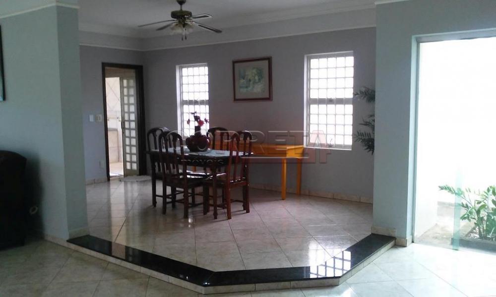 Comprar Rural / Rancho Condomínio em Santo Antônio do Aracanguá R$ 1.100.000,00 - Foto 1