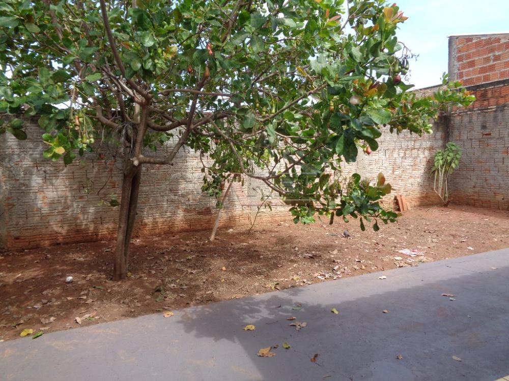 Alugar Casa / Residencial em Araçatuba R$ 750,00 - Foto 12