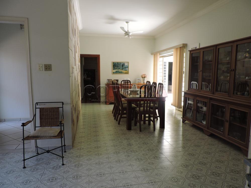 Alugar Casa / Residencial em Araçatuba R$ 15.500,00 - Foto 4