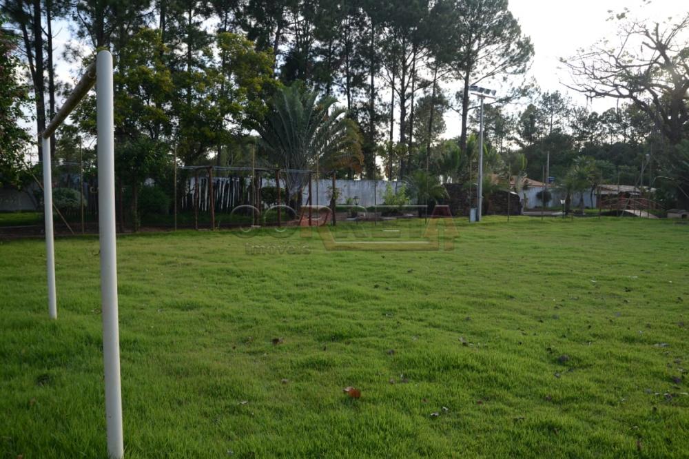 Comprar Rural / Chácara em Birigüi R$ 1.600.000,00 - Foto 49