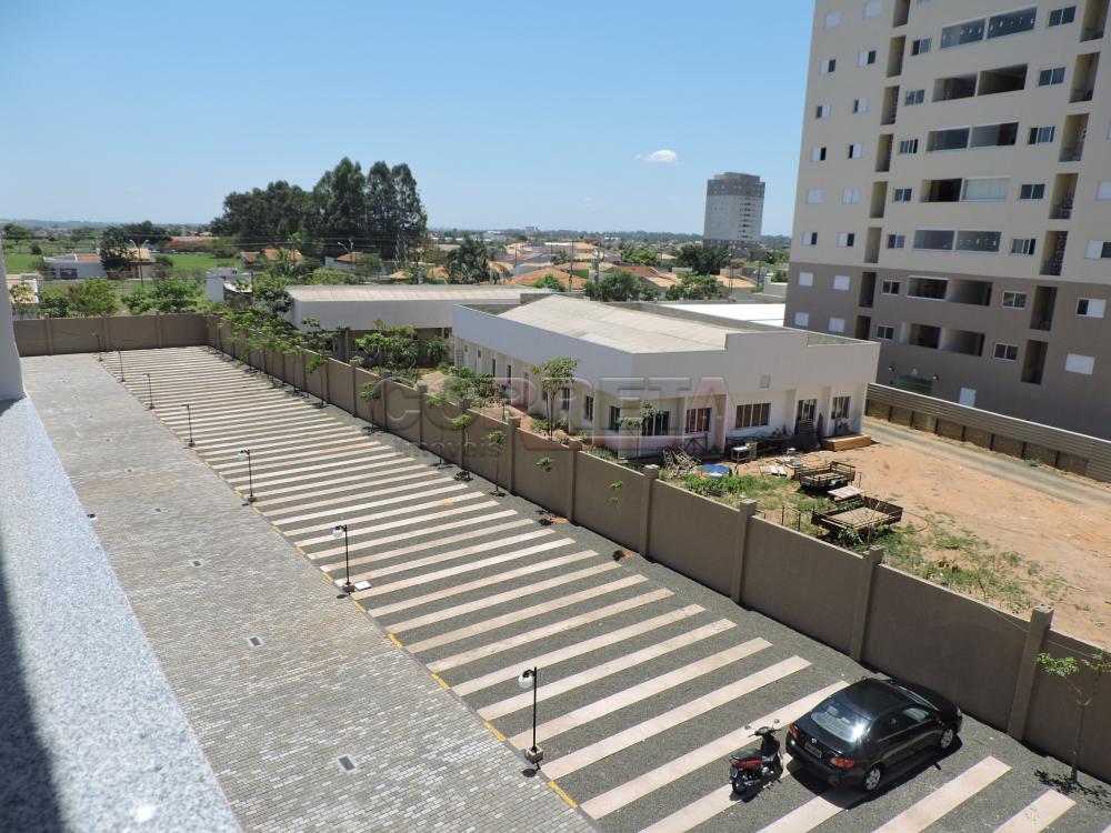 Alugar Apartamento / Padrão em Araçatuba R$ 1.800,00 - Foto 19