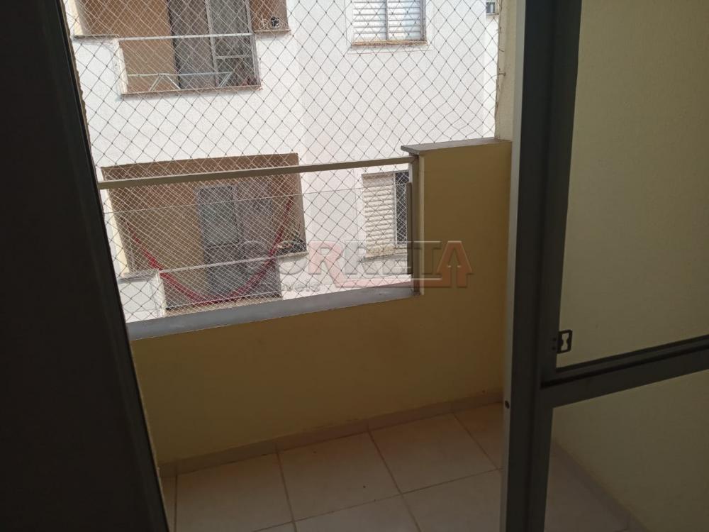 Alugar Apartamento / Padrão em Araçatuba R$ 589,27 - Foto 4