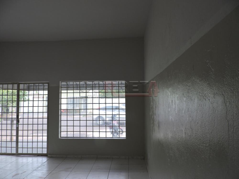 Alugar Comercial / Salão em Araçatuba R$ 1.100,00 - Foto 1