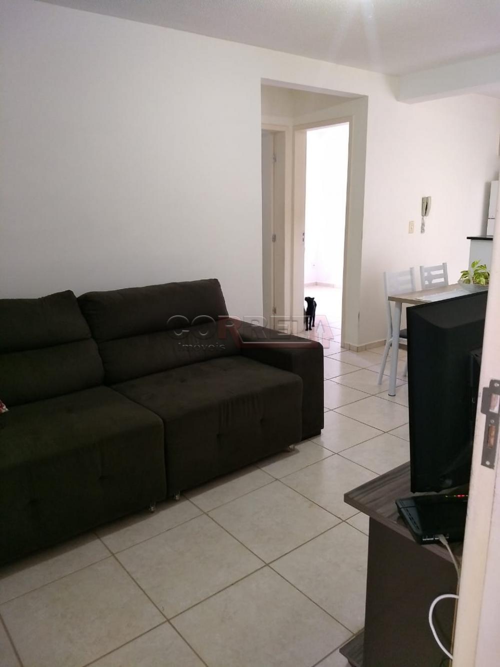 Alugar Apartamento / Padrão em Araçatuba R$ 600,00 - Foto 2