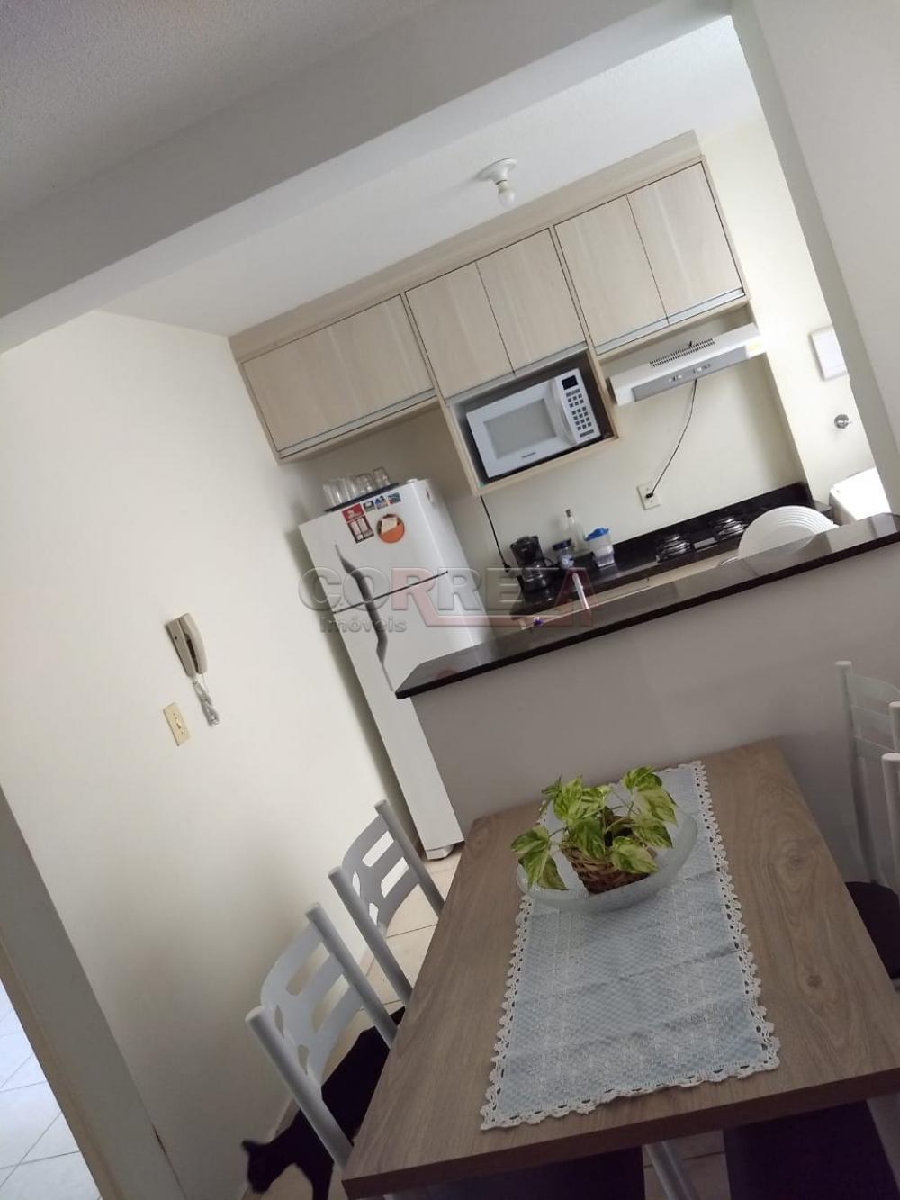 Alugar Apartamento / Padrão em Araçatuba R$ 600,00 - Foto 4