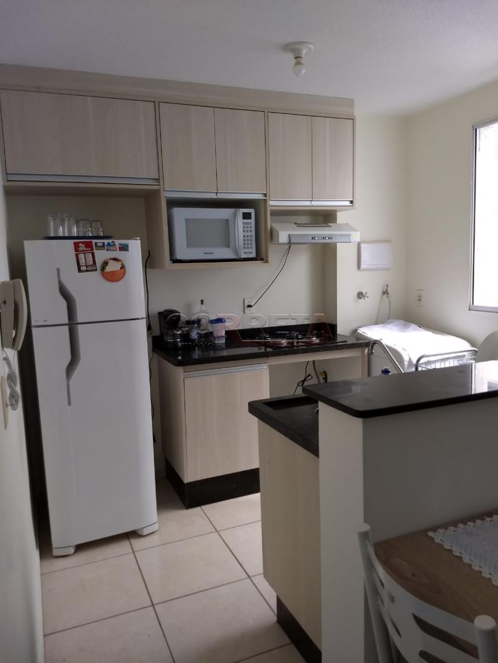 Alugar Apartamento / Padrão em Araçatuba R$ 600,00 - Foto 7