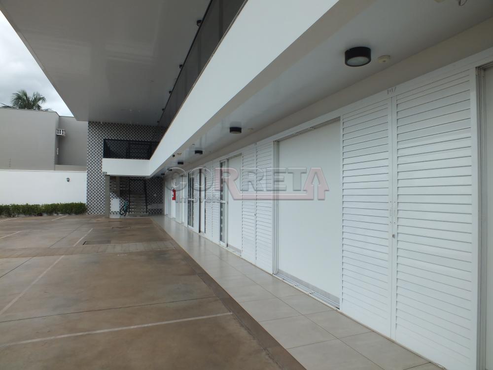 Alugar Apartamento / Kitchnet em Araçatuba R$ 1.750,00 - Foto 2