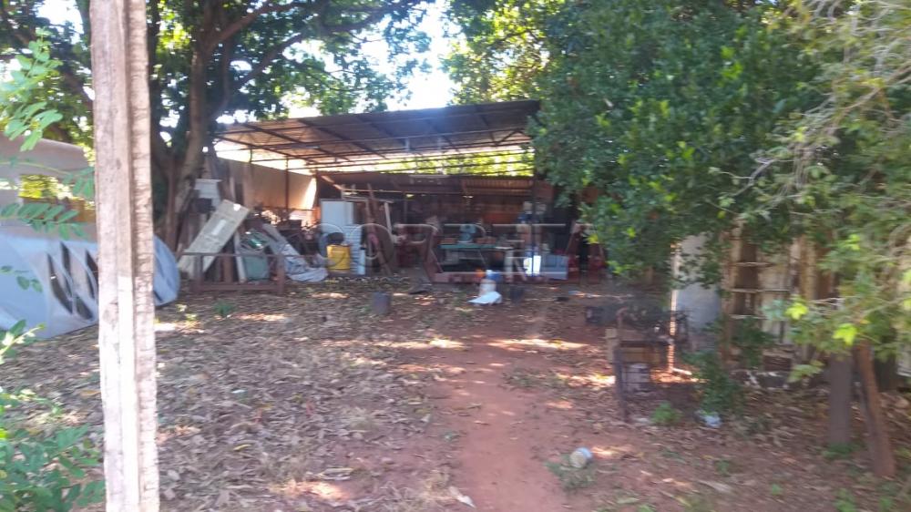 Comprar Terreno / Padrão em Araçatuba R$ 350.000,00 - Foto 3