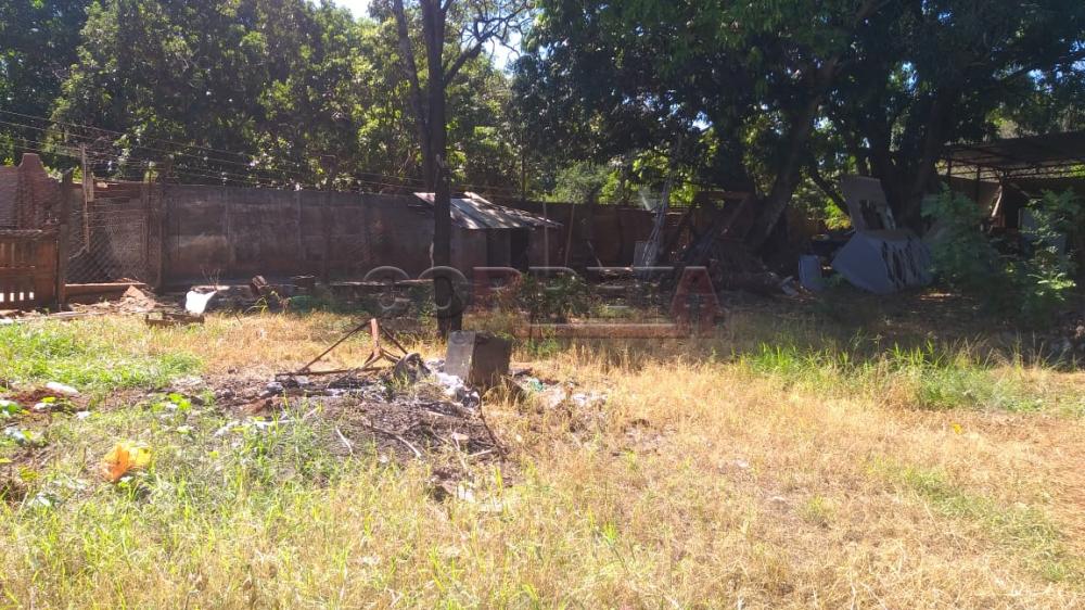 Comprar Terreno / Padrão em Araçatuba R$ 350.000,00 - Foto 4