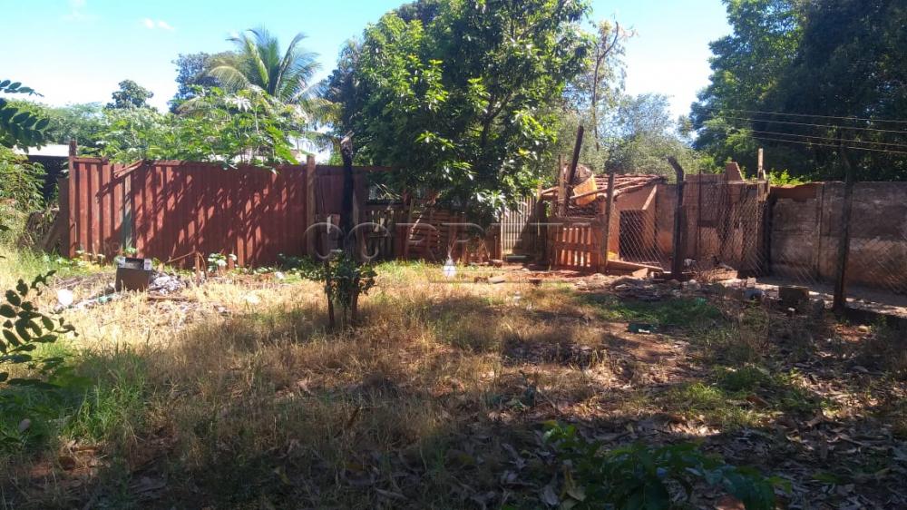 Comprar Terreno / Padrão em Araçatuba R$ 350.000,00 - Foto 5