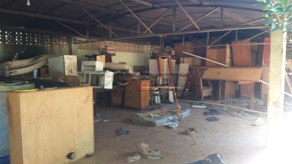 Comprar Terreno / Padrão em Araçatuba R$ 350.000,00 - Foto 7