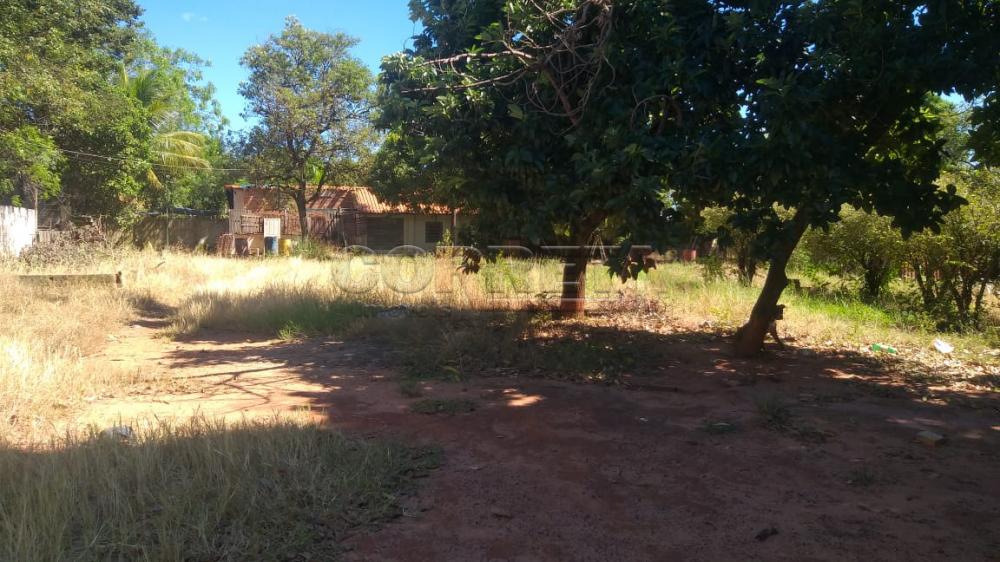 Comprar Terreno / Padrão em Araçatuba R$ 350.000,00 - Foto 14