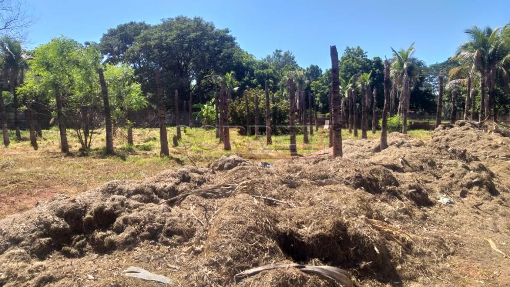 Comprar Terreno / Padrão em Araçatuba R$ 350.000,00 - Foto 15