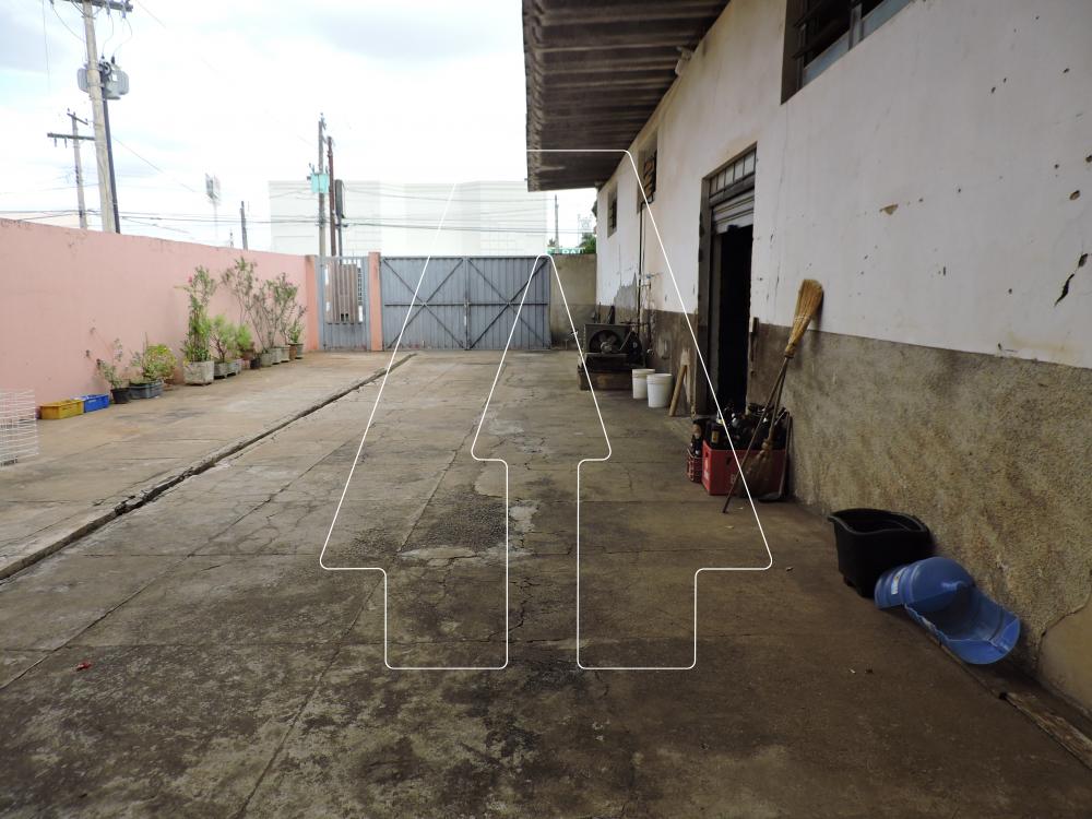 Alugar Casa / Sobrado em Araçatuba R$ 8.000,00 - Foto 10