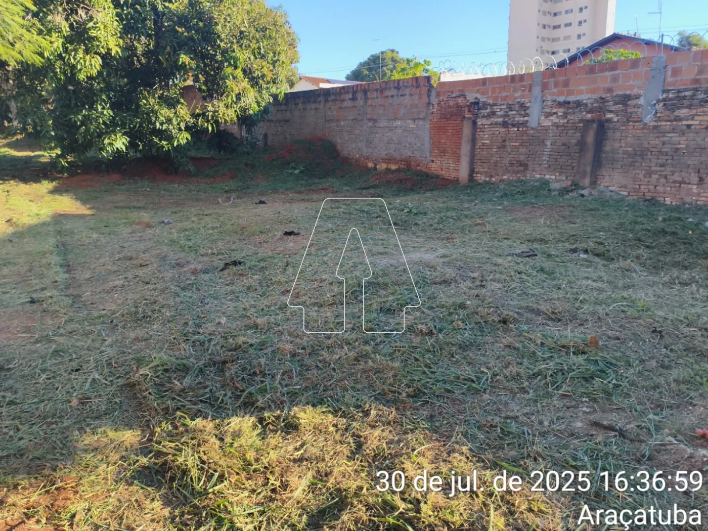 Alugar Terreno / Padrão em Araçatuba R$ 1.500,00 - Foto 5