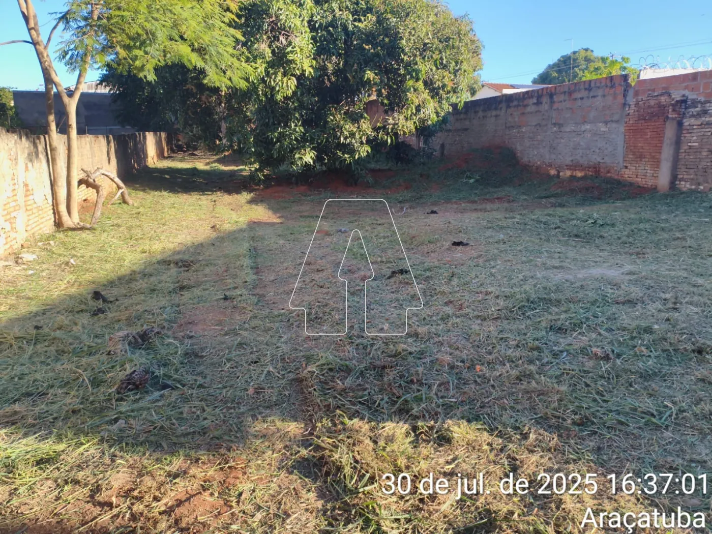 Alugar Terreno / Padrão em Araçatuba R$ 1.500,00 - Foto 6