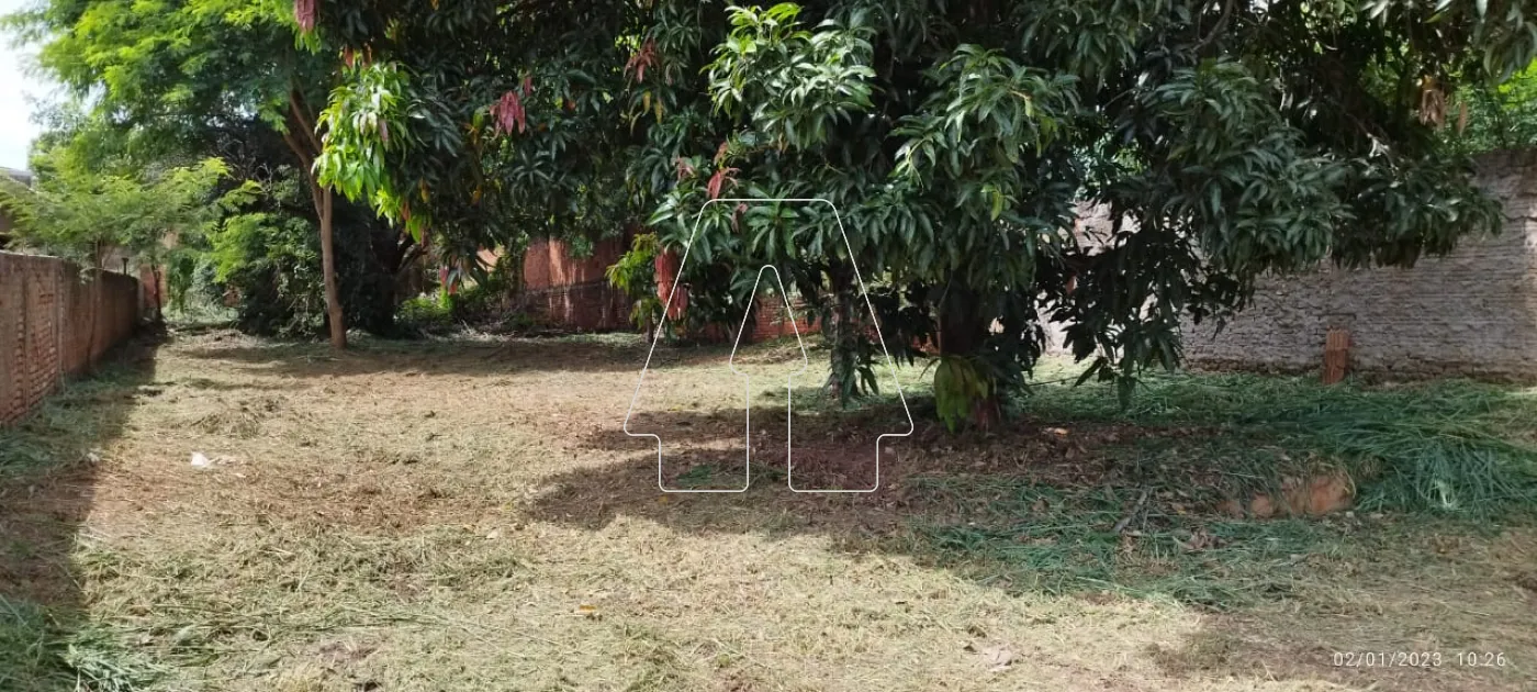 Alugar Terreno / Padrão em Araçatuba R$ 1.500,00 - Foto 7