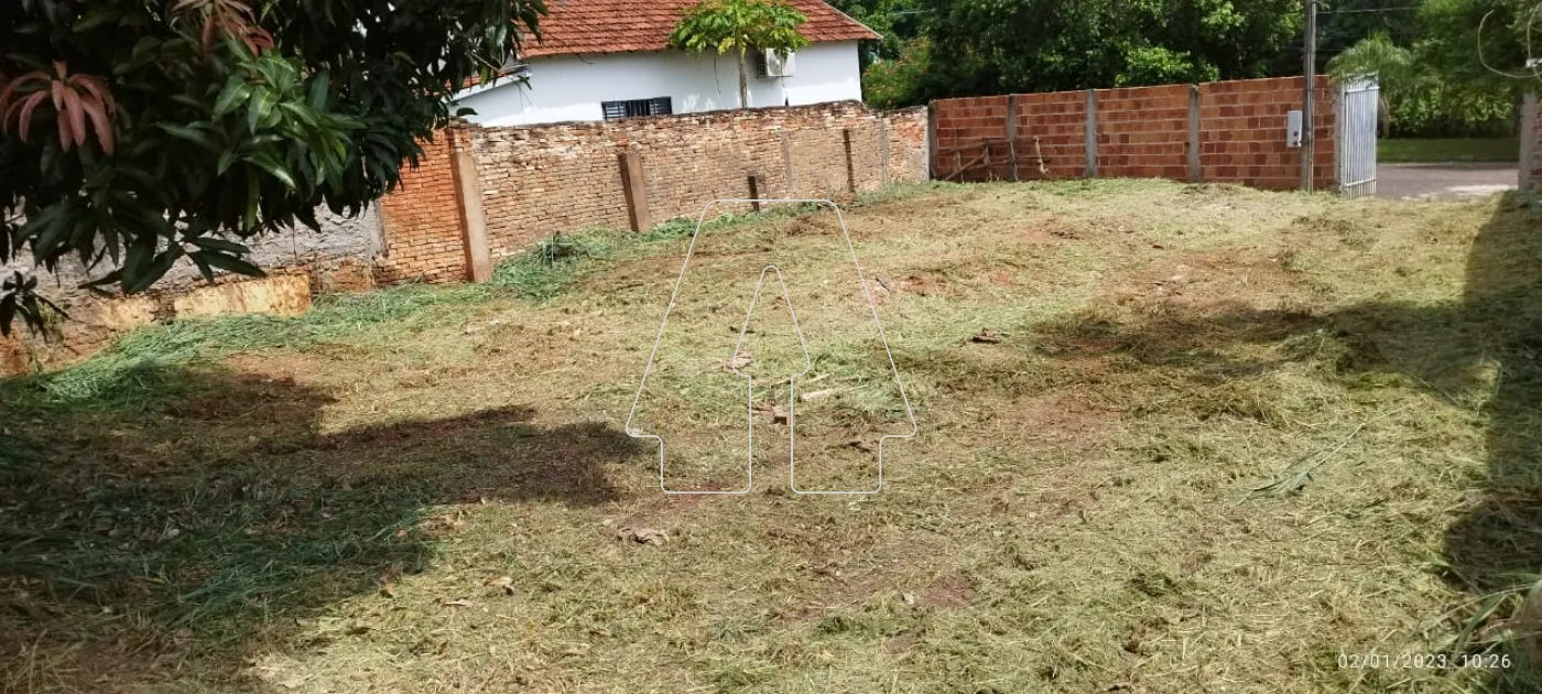 Alugar Terreno / Padrão em Araçatuba R$ 1.500,00 - Foto 8