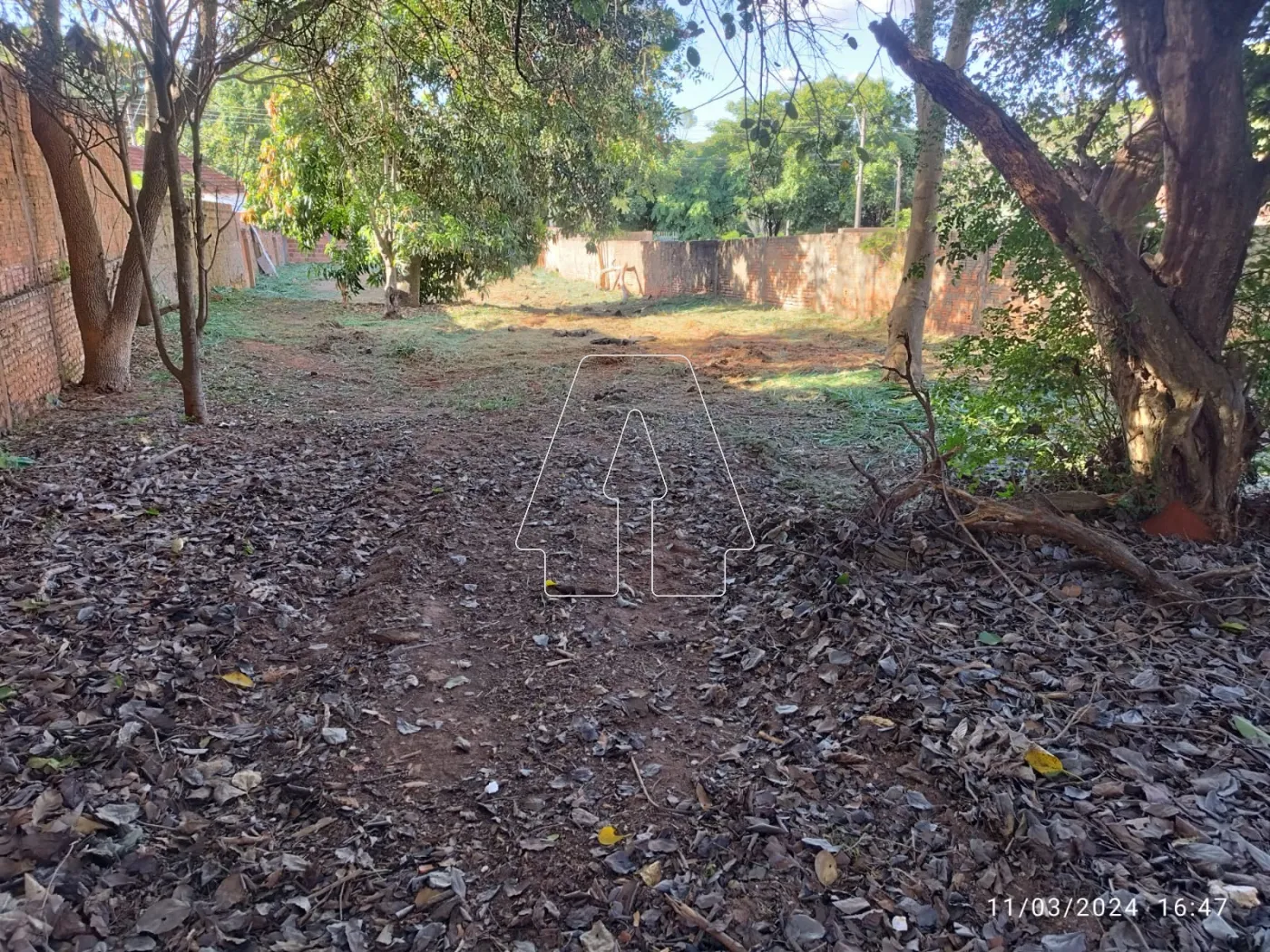 Alugar Terreno / Padrão em Araçatuba R$ 1.500,00 - Foto 9