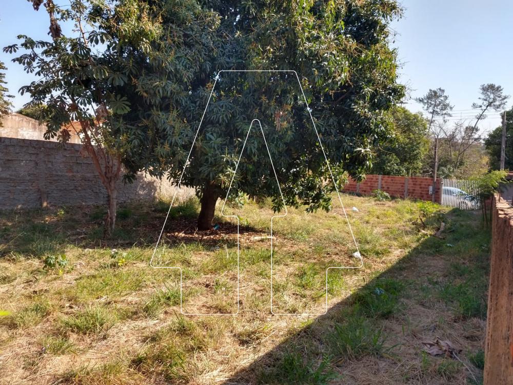 Alugar Terreno / Padrão em Araçatuba R$ 1.500,00 - Foto 1