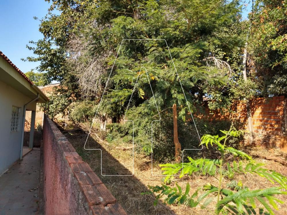 Alugar Terreno / Padrão em Araçatuba R$ 1.500,00 - Foto 2