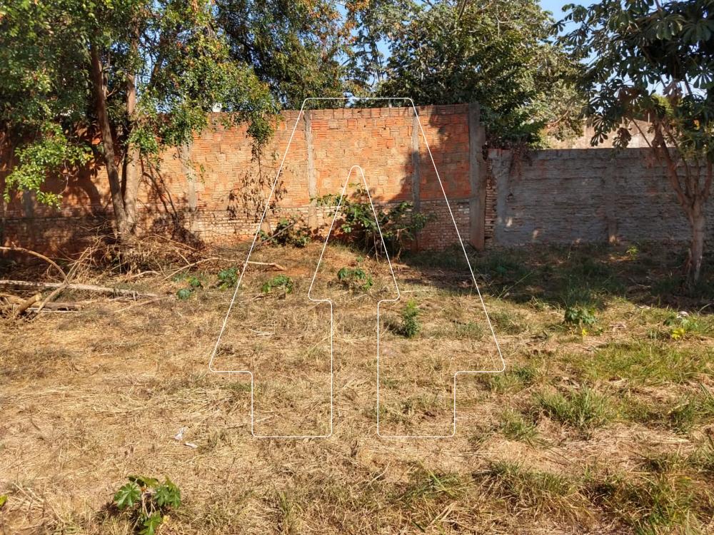Alugar Terreno / Padrão em Araçatuba R$ 1.500,00 - Foto 3
