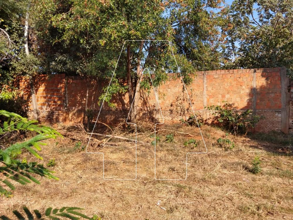 Alugar Terreno / Padrão em Araçatuba R$ 1.500,00 - Foto 4