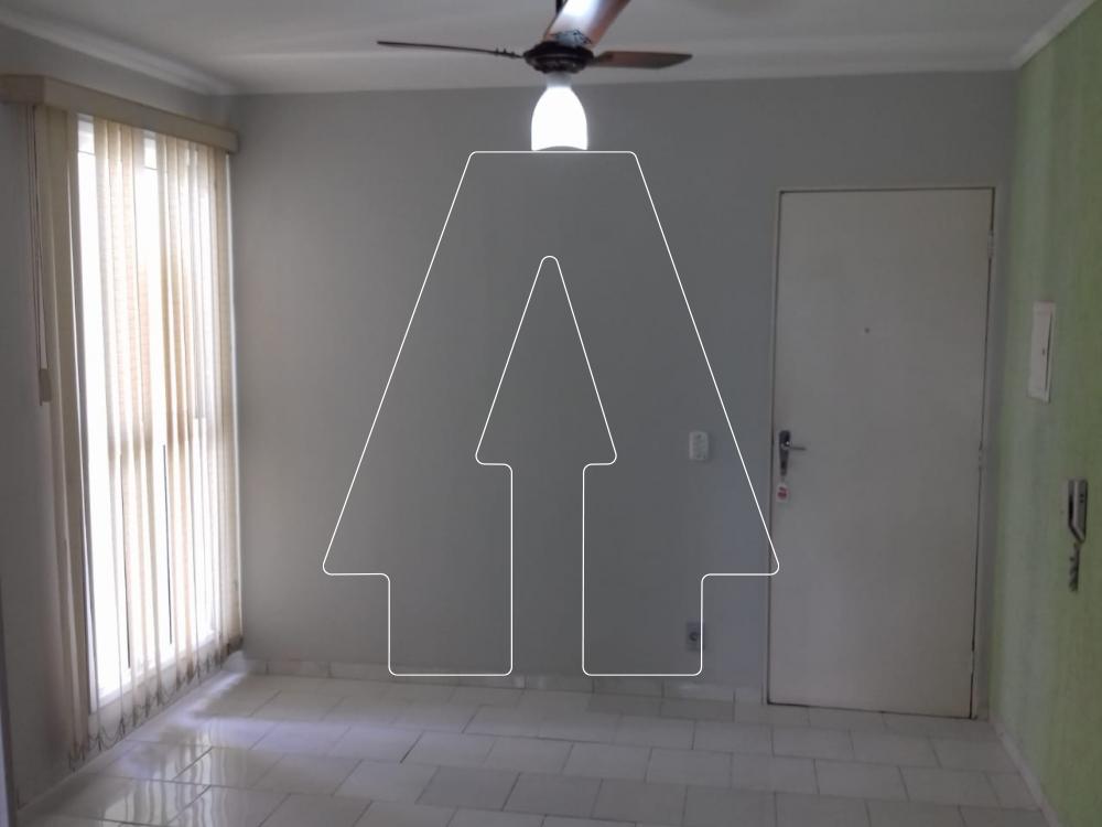 Alugar Apartamento / Padrão em Araçatuba R$ 950,00 - Foto 1
