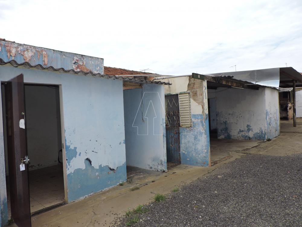 Alugar Comercial / Casa em Araçatuba R$ 1.100,00 - Foto 2