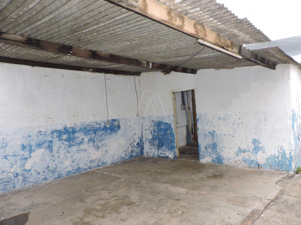 Alugar Comercial / Casa em Araçatuba R$ 1.100,00 - Foto 3