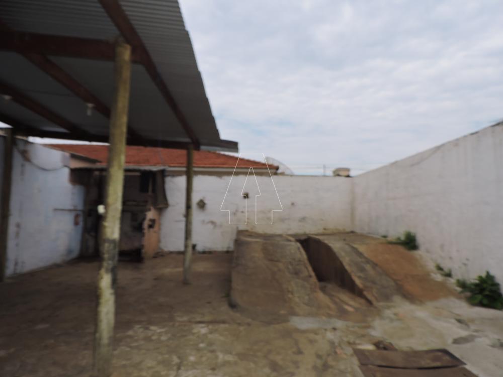Alugar Comercial / Casa em Araçatuba R$ 1.100,00 - Foto 5