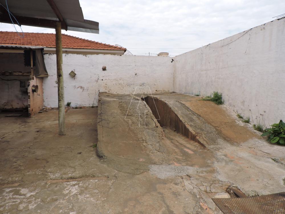 Alugar Comercial / Casa em Araçatuba R$ 1.100,00 - Foto 6