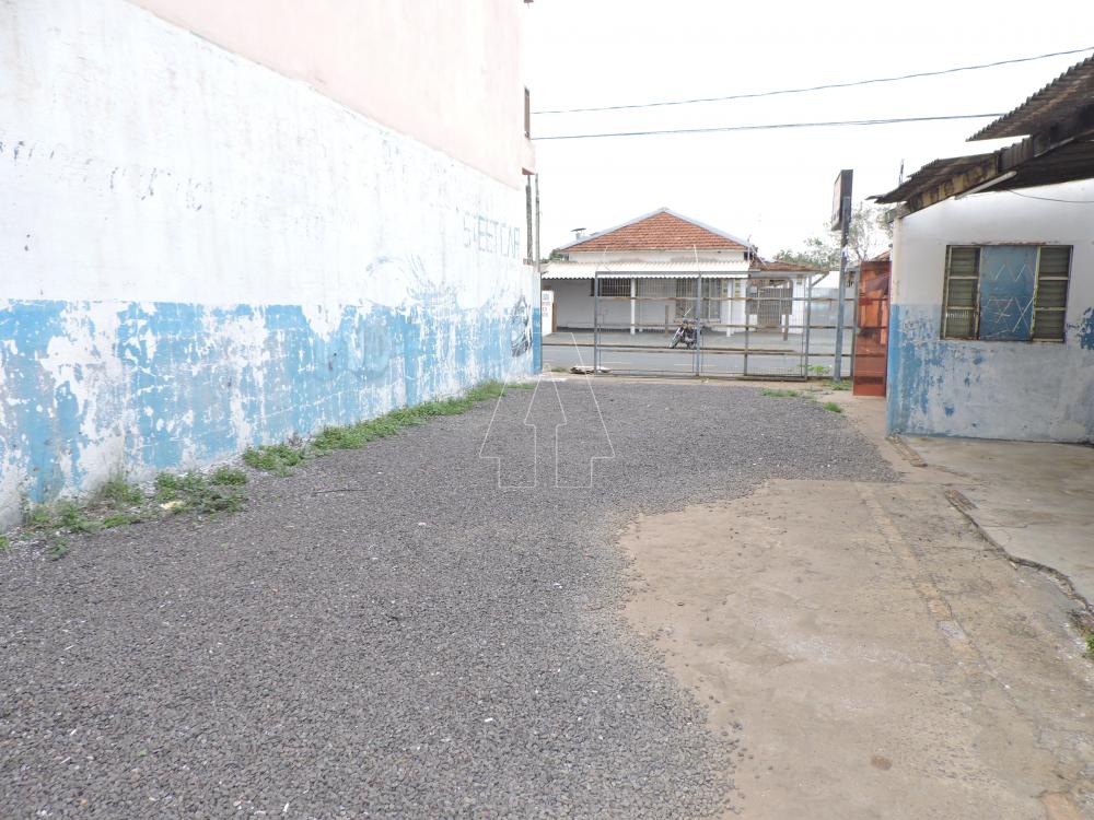 Alugar Comercial / Casa em Araçatuba R$ 1.100,00 - Foto 7