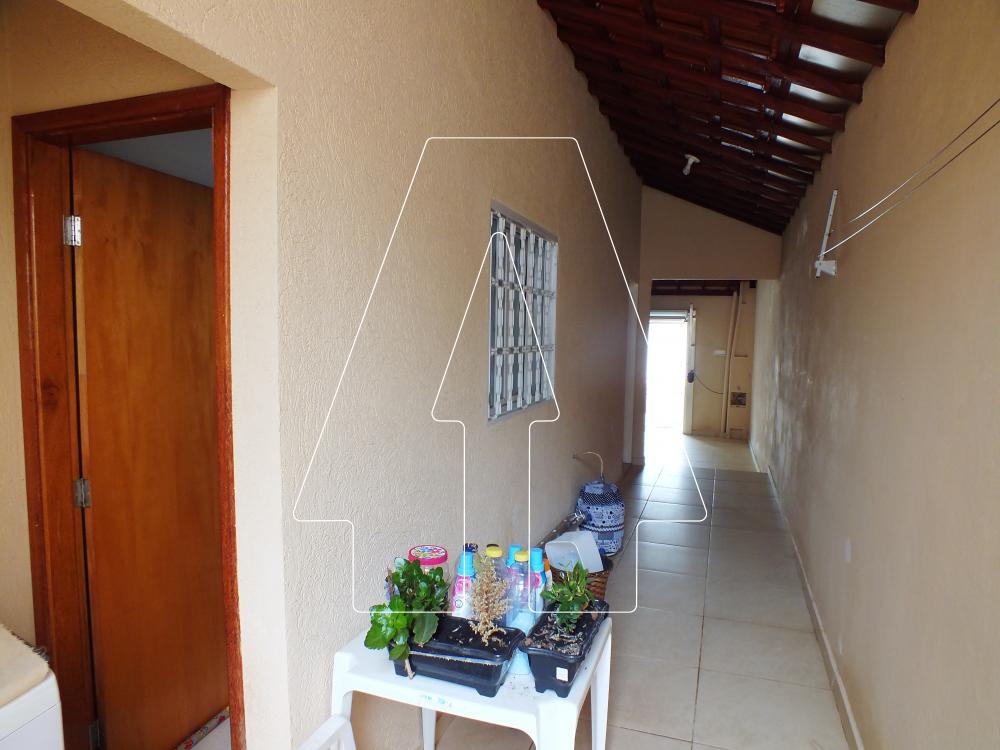 Alugar Casa / Residencial em Araçatuba R$ 1.300,00 - Foto 13