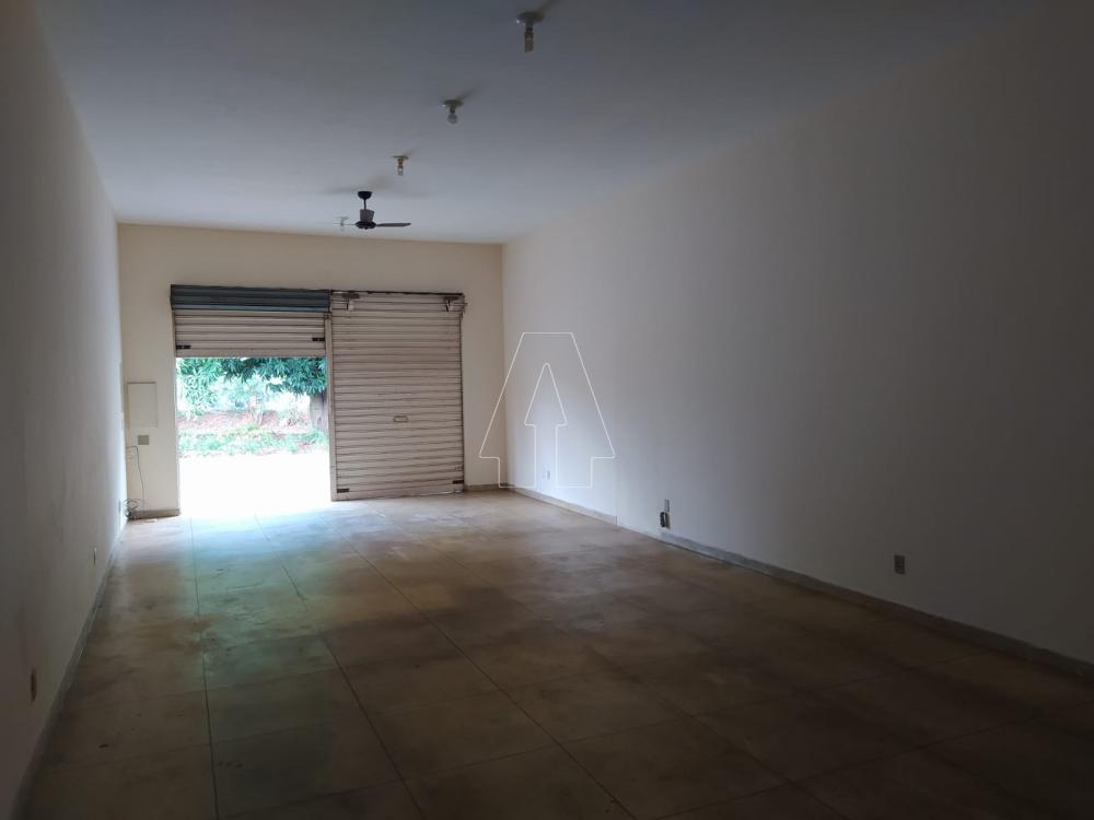 Alugar Comercial / Sala em Araçatuba R$ 1.500,00 - Foto 2