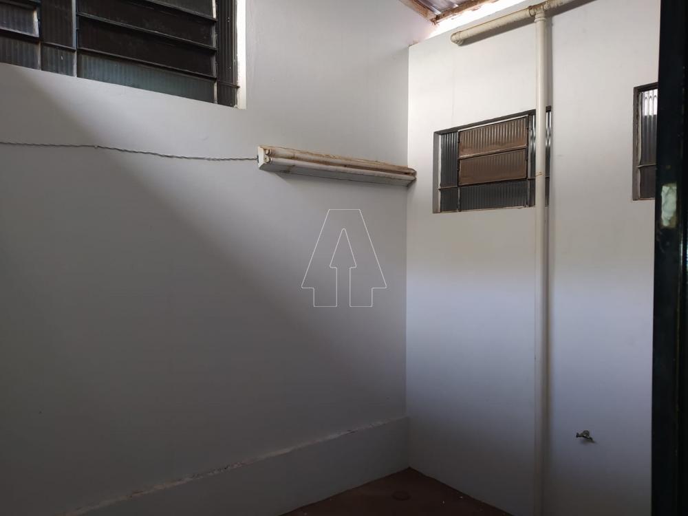 Alugar Comercial / Sala em Araçatuba R$ 1.500,00 - Foto 4
