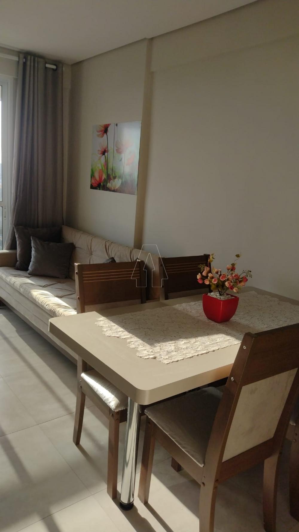 Alugar Apartamento / Padrão em Araçatuba R$ 2.450,00 - Foto 3