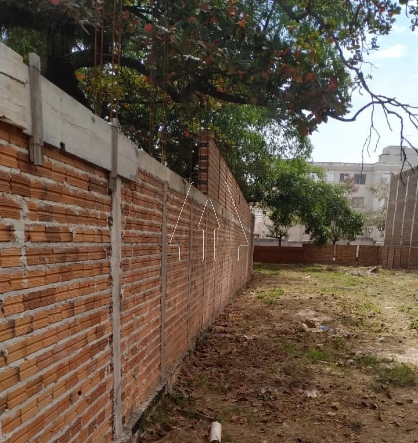 Alugar Terreno / Padrão em Araçatuba R$ 3.000,00 - Foto 2