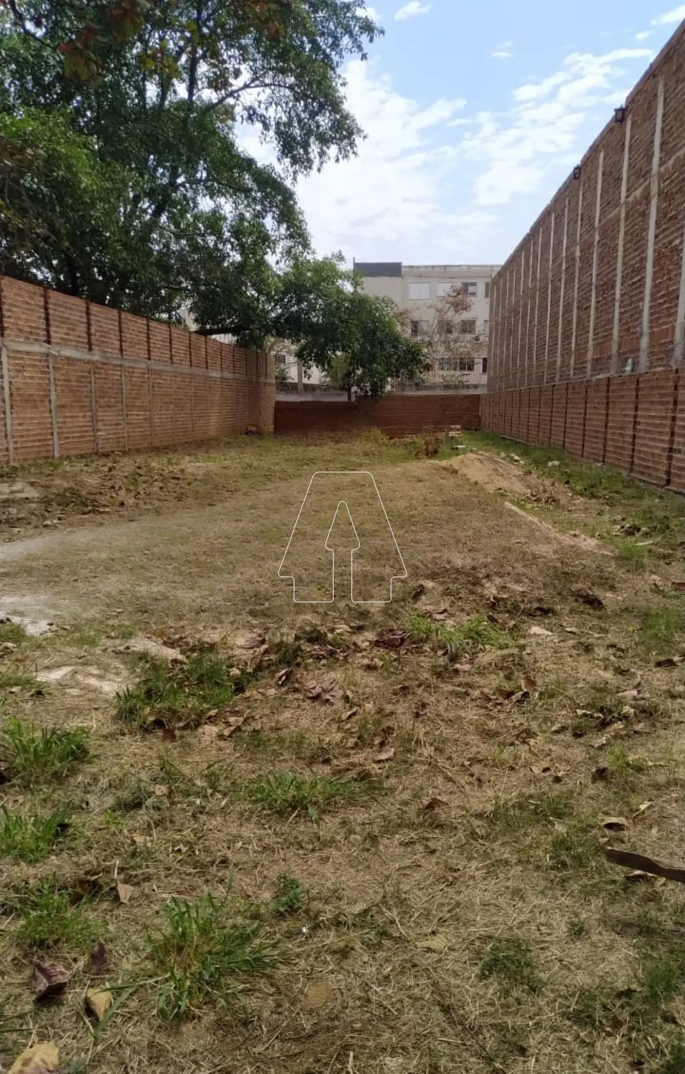 Alugar Terreno / Padrão em Araçatuba R$ 3.000,00 - Foto 3