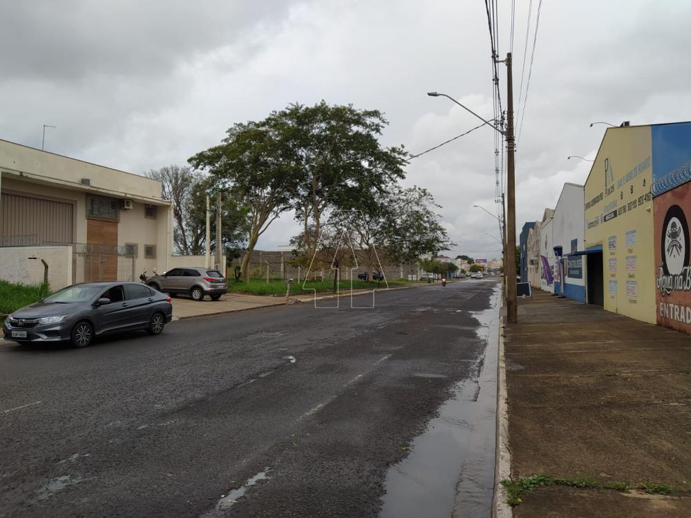 Alugar Terreno / Padrão em Araçatuba R$ 3.000,00 - Foto 2