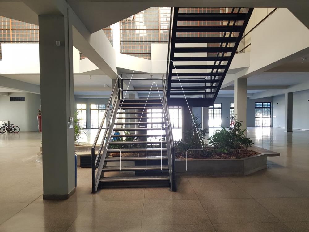 Comprar Comercial / Salão em Araçatuba R$ 6.000.000,00 - Foto 3