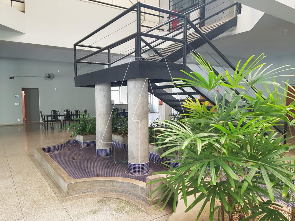 Comprar Comercial / Salão em Araçatuba R$ 6.000.000,00 - Foto 31