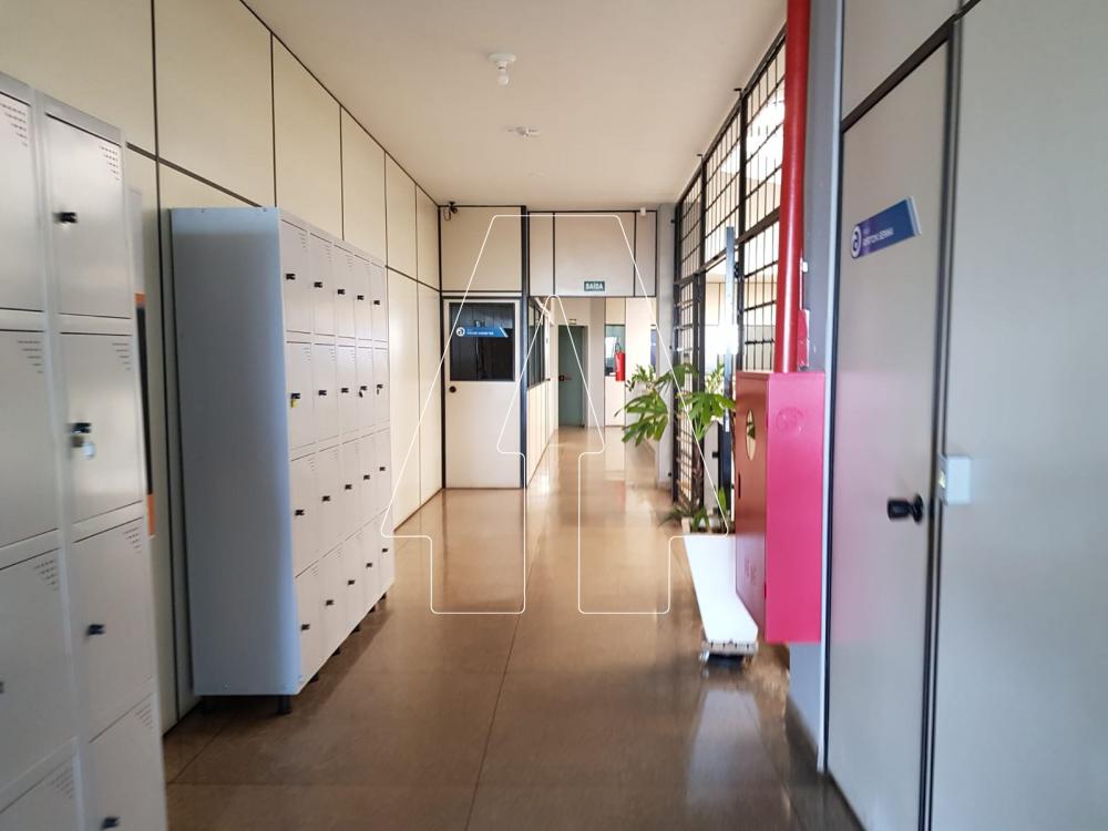 Comprar Comercial / Salão em Araçatuba R$ 6.000.000,00 - Foto 22