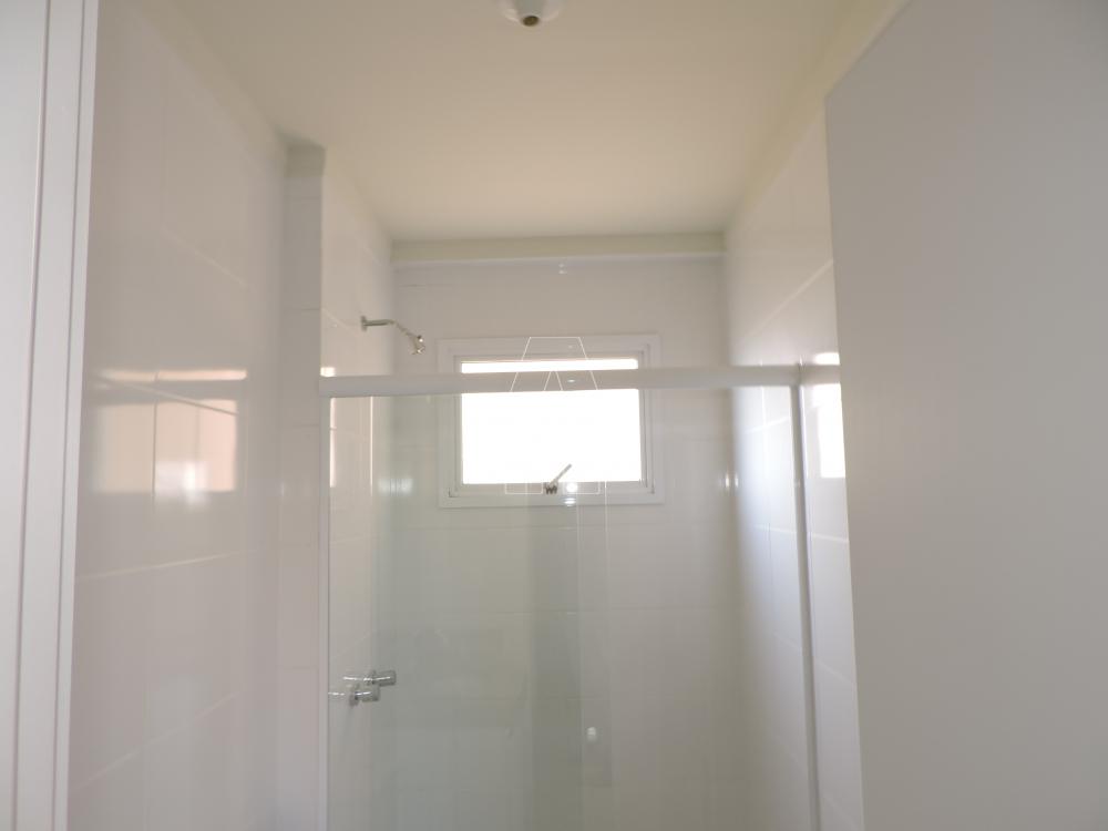 Alugar Apartamento / Padrão em Araçatuba R$ 3.000,00 - Foto 10