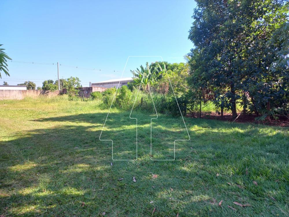 Alugar Rural / Chácara em Araçatuba R$ 4.000,00 - Foto 17