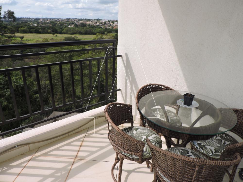 Alugar Apartamento / Padrão em Araçatuba R$ 2.000,00 - Foto 7