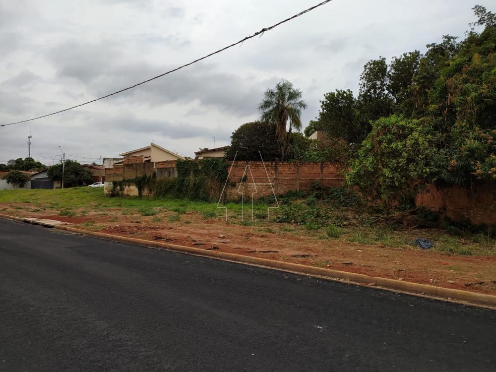 Comprar Terreno / Área em Araçatuba R$ 1.500.000,00 - Foto 6