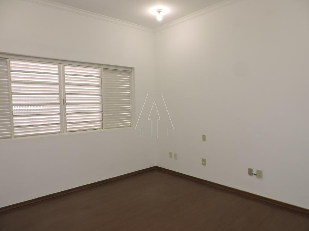 Alugar Comercial / Ponto Comercial em Araçatuba R$ 8.000,00 - Foto 10