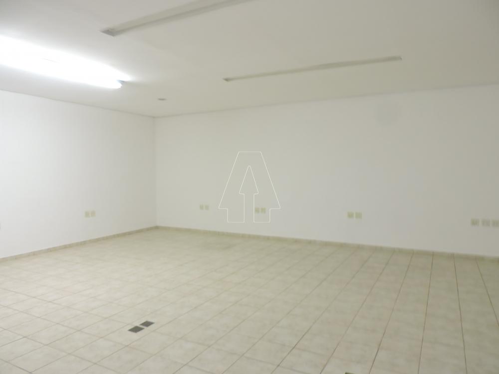Alugar Comercial / Ponto Comercial em Araçatuba R$ 8.000,00 - Foto 17